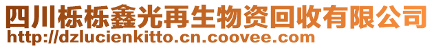 四川櫟櫟鑫光再生物資回收有限公司