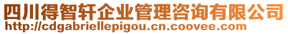 四川得智軒企業(yè)管理咨詢有限公司