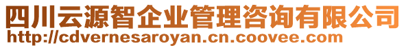 四川云源智企業(yè)管理咨詢(xún)有限公司