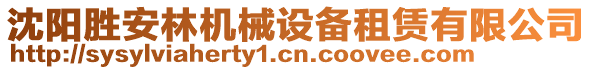 沈陽勝安林機械設(shè)備租賃有限公司