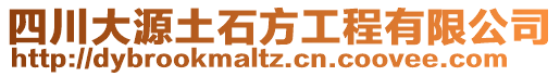 四川大源土石方工程有限公司