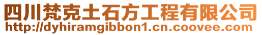 四川梵克土石方工程有限公司