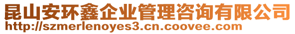 昆山安環(huán)鑫企業(yè)管理咨詢有限公司