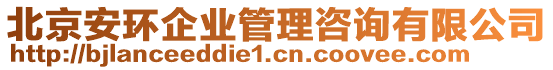 北京安環(huán)企業(yè)管理咨詢有限公司