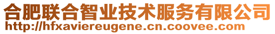 合肥聯(lián)合智業(yè)技術(shù)服務(wù)有限公司