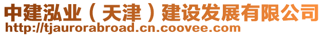 中建泓業(yè)（天津）建設(shè)發(fā)展有限公司