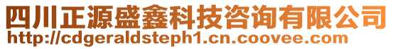 四川正源盛鑫科技咨詢有限公司