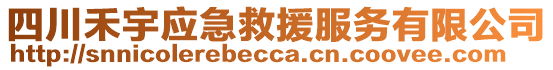 四川禾宇應(yīng)急救援服務(wù)有限公司