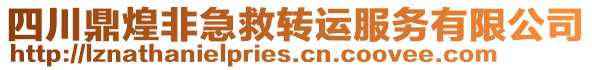 四川鼎煌非急救轉(zhuǎn)運(yùn)服務(wù)有限公司