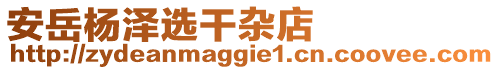 安岳楊澤選干雜店