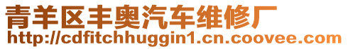 青羊區(qū)豐奧汽車維修廠