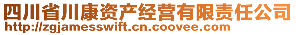 四川省川康資產(chǎn)經(jīng)營有限責(zé)任公司