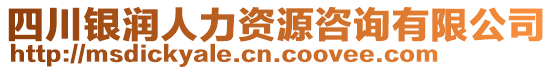 四川銀潤(rùn)人力資源咨詢有限公司