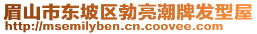 眉山市東坡區(qū)勃亮潮牌發(fā)型屋