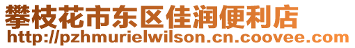 攀枝花市東區(qū)佳潤(rùn)便利店