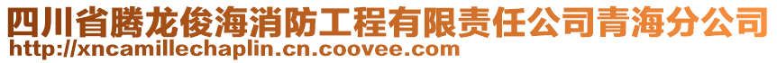 四川省騰龍俊海消防工程有限責任公司青海分公司