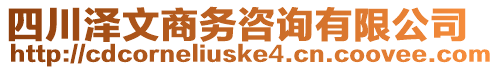 四川澤文商務(wù)咨詢有限公司