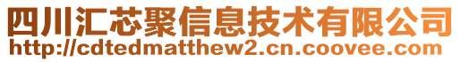 四川匯芯聚信息技術(shù)有限公司