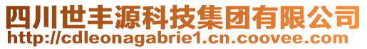 四川世豐源科技集團(tuán)有限公司