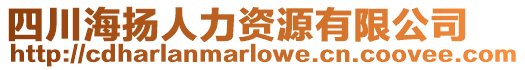 四川海揚人力資源有限公司