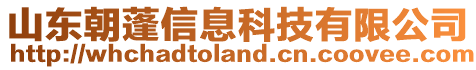 山東朝蓬信息科技有限公司