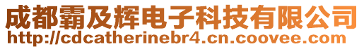 成都霸及輝電子科技有限公司