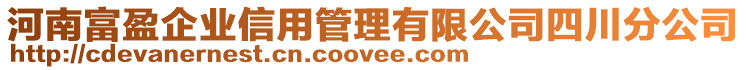 河南富盈企業(yè)信用管理有限公司四川分公司