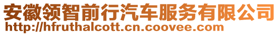 安徽領(lǐng)智前行汽車服務(wù)有限公司