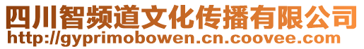 四川智頻道文化傳播有限公司