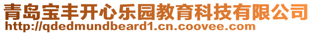 青島寶豐開心樂園教育科技有限公司