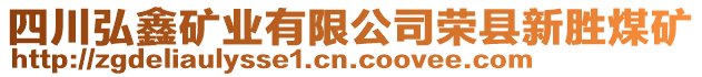 四川弘鑫礦業(yè)有限公司榮縣新勝煤礦