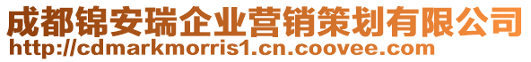 成都錦安瑞企業(yè)營銷策劃有限公司