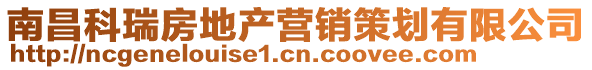 南昌科瑞房地产营销策划有限公司