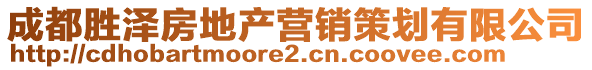 成都勝澤房地產營銷策劃有限公司