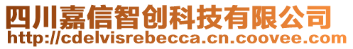 四川嘉信智創(chuàng)科技有限公司