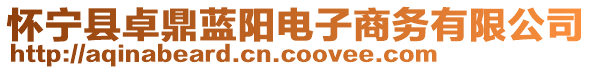 懷寧縣卓鼎藍(lán)陽(yáng)電子商務(wù)有限公司