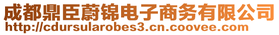 成都鼎臣蔚錦電子商務(wù)有限公司