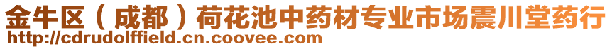 金牛區(qū)（成都）荷花池中藥材專業(yè)市場震川堂藥行