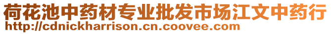 荷花池中藥材專業(yè)批發(fā)市場江文中藥行