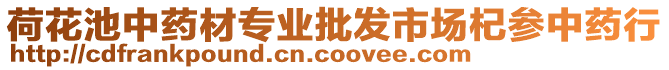 荷花池中藥材專業(yè)批發(fā)市場杞參中藥行