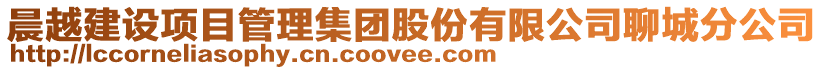 晨越建設項目管理集團股份有限公司聊城分公司