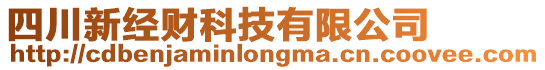 四川新經(jīng)財(cái)科技有限公司