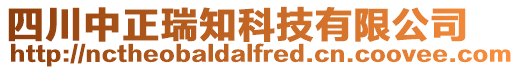 四川中正瑞知科技有限公司