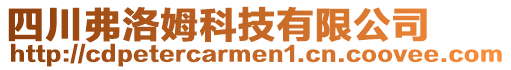 四川弗洛姆科技有限公司