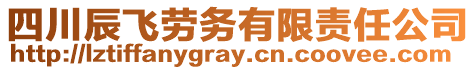四川辰飛勞務有限責任公司