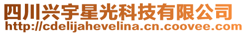 四川興宇星光科技有限公司