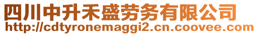 四川中升禾盛勞務(wù)有限公司