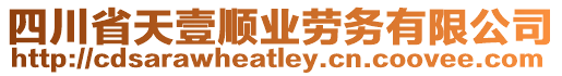 四川省天壹順業勞務有限公司