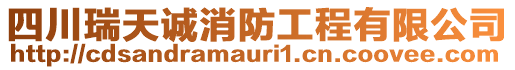 四川瑞天誠消防工程有限公司