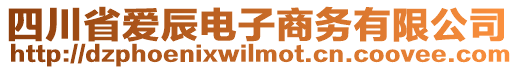 四川省愛辰電子商務(wù)有限公司